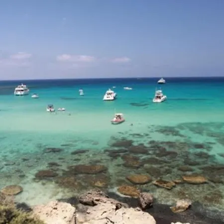 Your Family Will Love This Cyprus With Stunning Sunset Views, Paphos 1180